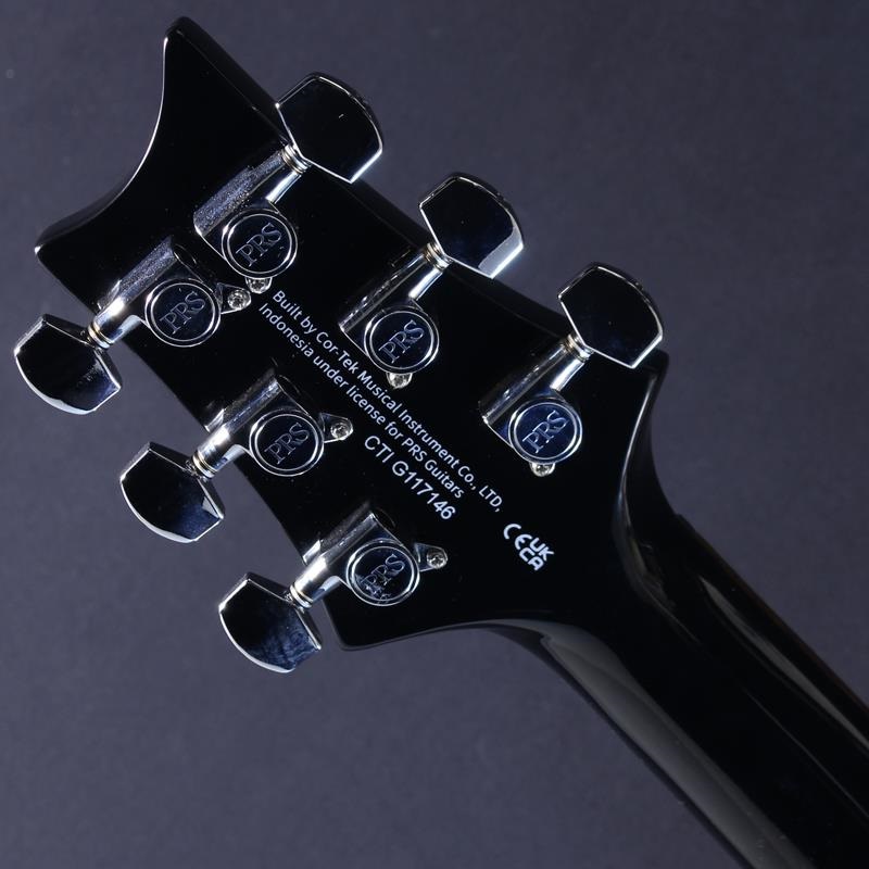P.R.S. SE Custom 24 (Amethyst) #CTI G117146【2024年生産品