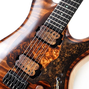 MAYONES Ikebe 50th Anniversary Model Regius Core Guard 6 Redwood Curly Top 画像3