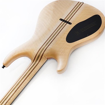 MAYONES Ikebe 50th Anniversary Model Regius Core Guard 6 Redwood Curly Top 画像6