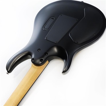 P.R.S. SE Chleo (Mantis Burst) SN.CTIH057856 【2025年生産品】 画像6