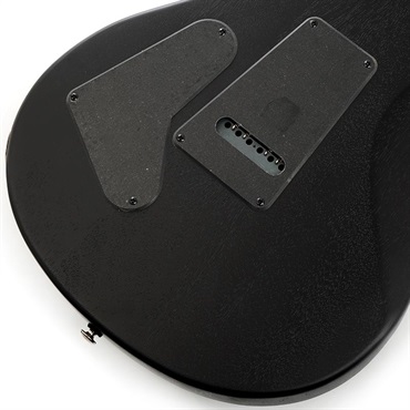 P.R.S. 【「THE IKEBE PRS VAULT」オープン記念キャンペーン】 SE Swamp Ash CE 24 Sandblasted Limited Edition (Sandblasted Green) SN.CTIG034458 【2024年生産モデル】 画像7