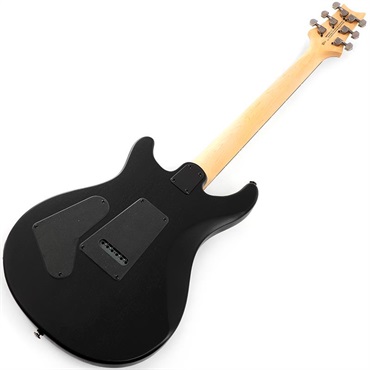 P.R.S. SE Swamp Ash CE 24 Sandblasted Limited Edition (Sandblasted Blue) SN.CTIG034486 【2024年生産モデル】 画像2