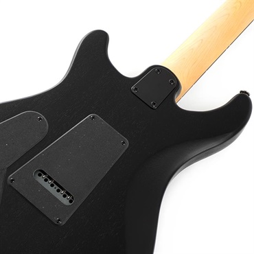 P.R.S. SE Swamp Ash CE 24 Sandblasted Limited Edition (Sandblasted Blue) SN.CTIG034486 【2024年生産モデル】 画像5