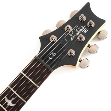 P.R.S. SE Swamp Ash CE 24 Sandblasted Limited Edition (Sandblasted Blue) SN.CTIG034486 【2024年生産モデル】 画像6