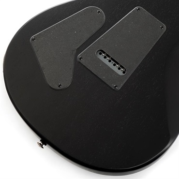 P.R.S. SE Swamp Ash CE 24 Sandblasted Limited Edition (Sandblasted Blue) SN.CTIG034486 【2024年生産モデル】 画像7