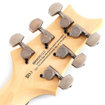 P.R.S. SE Swamp Ash CE 24 Sandblasted Limited Edition (Sandblasted Blue) SN.CTIG034486 【2024年生産モデル】 画像9