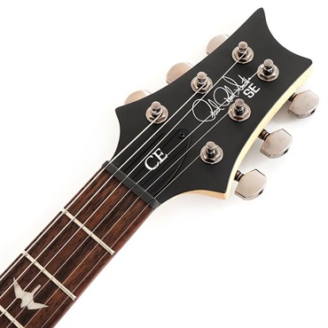 P.R.S. 【「THE IKEBE PRS VAULT」オープン記念キャンペーン】 SE Swamp Ash CE 24 Sandblasted Limited Edition (Sandblasted Purple) SN.CTIG033119 【2024年生産モデル】 画像6