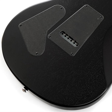 P.R.S. 【「THE IKEBE PRS VAULT」オープン記念キャンペーン】 SE Swamp Ash CE 24 Sandblasted Limited Edition (Sandblasted Purple) SN.CTIG033119 【2024年生産モデル】 画像7