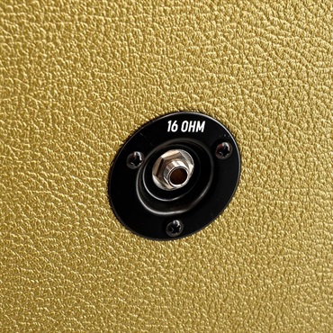 Divided by 13 JRT9/15 HEAD w/1x12F Cabinet【Gold Bronco/V:Ivory Bronco】（ディバイデット） 画像9