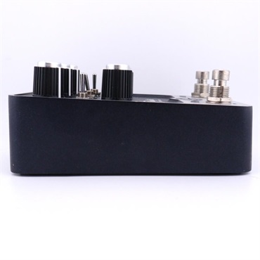 Universal Audio USED 中古 Starlight Echo Station (UAFX Universal Audio ユニバーサルオーディオ) Delay/Tape Echo ディレイ/テープエコー【USED SALE!!】 画像2