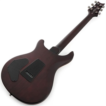 P.R.S. 【「THE IKEBE PRS VAULT」オープン記念キャンペーン】 SE DGT Laurel Burl Limited Edition (McCarty Tobacco Burst) SN.CTIG114585 【2024年生産モデル】 画像2