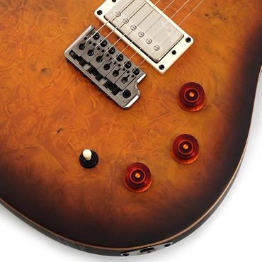 P.R.S. 【「THE IKEBE PRS VAULT」オープン記念キャンペーン】 SE DGT Laurel Burl Limited Edition (McCarty Tobacco Burst) SN.CTIG114585 【2024年生産モデル】 画像4