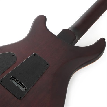 P.R.S. 【「THE IKEBE PRS VAULT」オープン記念キャンペーン】 SE DGT Laurel Burl Limited Edition (McCarty Tobacco Burst) SN.CTIG114585 【2024年生産モデル】 画像5