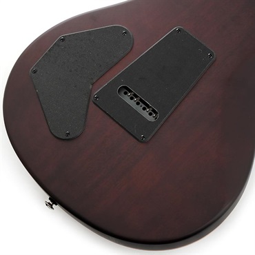 P.R.S. 【「THE IKEBE PRS VAULT」オープン記念キャンペーン】 SE DGT Laurel Burl Limited Edition (McCarty Tobacco Burst) SN.CTIG114585 【2024年生産モデル】 画像7