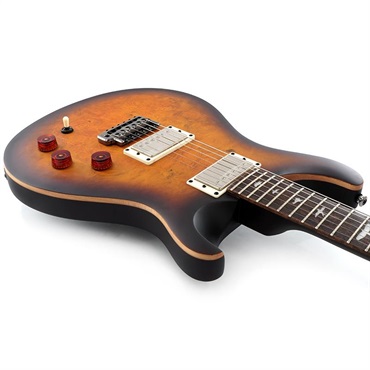P.R.S. 【「THE IKEBE PRS VAULT」オープン記念キャンペーン】 SE DGT Laurel Burl Limited Edition (McCarty Tobacco Burst) SN.CTIG114585 【2024年生産モデル】 画像8