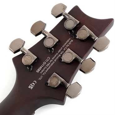 P.R.S. 【「THE IKEBE PRS VAULT」オープン記念キャンペーン】 SE DGT Laurel Burl Limited Edition (McCarty Tobacco Burst) SN.CTIG114585 【2024年生産モデル】 画像9