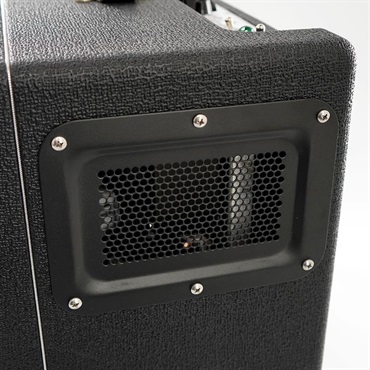 Carr USED 中古 Viceroy1x12 Combo 画像10
