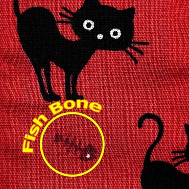 SpiceNote ES-PP50BC/BLK BLACK CAT 画像3