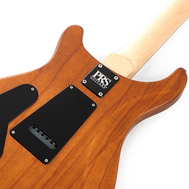 P.R.S. 【「THE IKEBE PRS VAULT」オープン記念キャンペーン】 CE 24-08 Swamp Ash Satin Limited Edition (Vintage Natural) SN.0396816 【2024年生産モデル】 画像5
