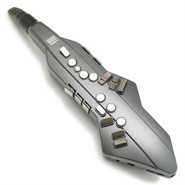 Roland USED 中古 ローランド デジタル管楽器 Aerophone GO AE-05 エアロフォンGO 【初期不良1ヶ月保証】 画像1