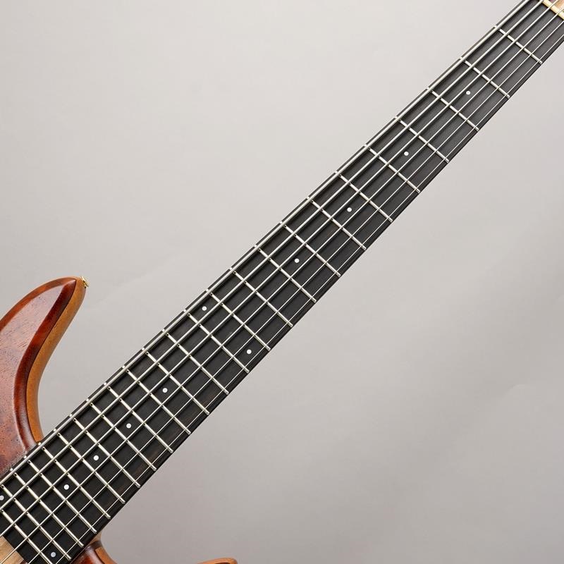 Phoenix GAP-618 Custom Bubinga ｜イケベ楽器店オンラインストア