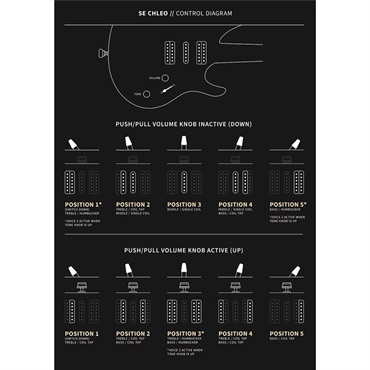 P.R.S. SE Chleo (Orchid Dusk) 【2025年生産品】 画像9