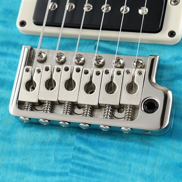 P.R.S. 【「THE IKEBE PRS VAULT」オープン記念キャンペーン】 CE 24 Special Limited Edition (Carroll Blue) [SN.0414487] 【2025年生産品】 画像5