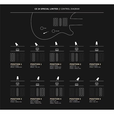 P.R.S. 【「THE IKEBE PRS VAULT」オープン記念キャンペーン】 CE 24 Special Limited Edition (Carroll Blue) [SN.0414487] 【2025年生産品】 画像10