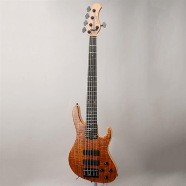 Sadowsky Guitars Limited Edition MetroLine 24-Fret Modern Bass 5st (AAA Koa Top) #038 画像1