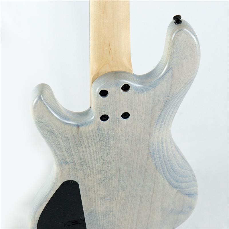 Freedom Custom Guitar Research O.S. Anthra 5st Active Alder