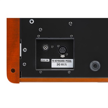 HAMMOND HBU-100 (H-BUSケーブル) 画像1