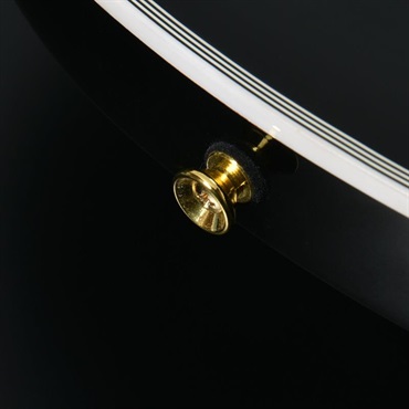 Bacchus Global Series DUKE-CTM Alnico (BLK) 画像1