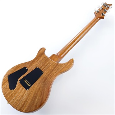 P.R.S. 【「THE IKEBE PRS VAULT」オープン記念キャンペーン】 Special Semi-Hollow 10 Top (Aurora Borealis) SN.0414146 【2025年生産品】 画像2