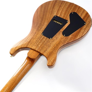 P.R.S. 【「THE IKEBE PRS VAULT」オープン記念キャンペーン】 Special Semi-Hollow 10 Top (Aurora Borealis) SN.0414146 【2025年生産品】 画像6