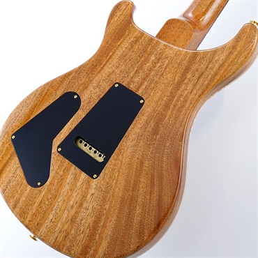 P.R.S. 【「THE IKEBE PRS VAULT」オープン記念キャンペーン】 Special Semi-Hollow 10 Top (Aurora Borealis) SN.0414146 【2025年生産品】 画像7