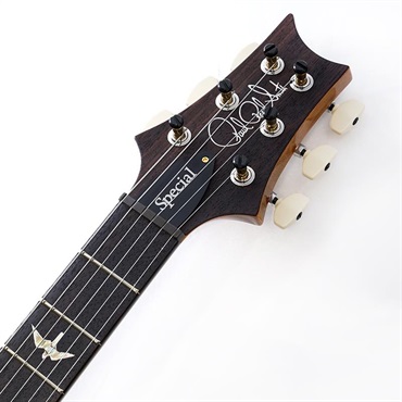 P.R.S. 【「THE IKEBE PRS VAULT」オープン記念キャンペーン】 Special Semi-Hollow 10 Top (Aurora Borealis) SN.0414146 【2025年生産品】 画像8