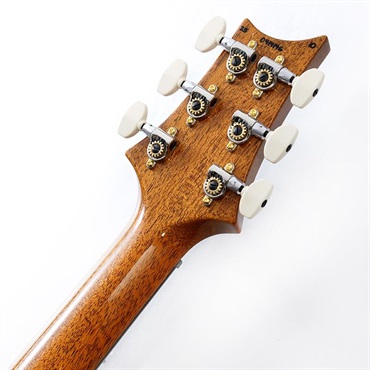 P.R.S. 【「THE IKEBE PRS VAULT」オープン記念キャンペーン】 Special Semi-Hollow 10 Top (Aurora Borealis) SN.0414146 【2025年生産品】 画像9