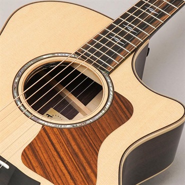 TAYLOR Next Generation 814ce テイラー 画像6
