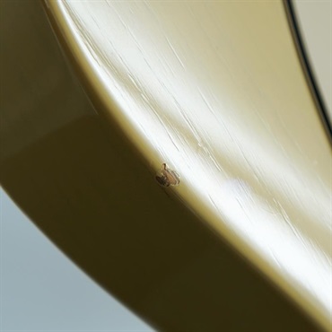 Fender Custom Shop USED 中古 Custom Classic Series Custom Classic Telecaster（Honey Blonde/M) [SN. CN97550] 画像7