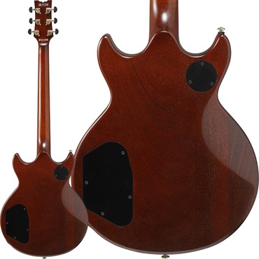 Ibanez 【1月30日入荷予定】 AR625FMSP-CML (Caramel Burst Low Gloss) 画像1