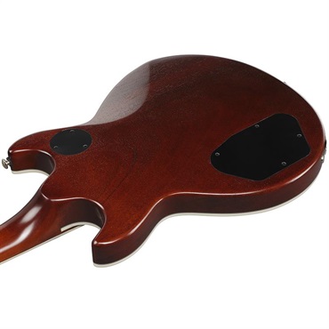 Ibanez 【1月30日入荷予定】 AR625FMSP-CML (Caramel Burst Low Gloss) 画像3