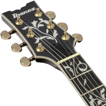 Ibanez 【1月30日入荷予定】 AR625FMSP-CML (Caramel Burst Low Gloss) 画像4