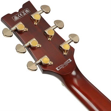 Ibanez 【1月30日入荷予定】 AR625FMSP-CML (Caramel Burst Low Gloss) 画像5
