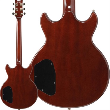 Ibanez 【1月30日入荷予定】 AR520HME-NT (Natural) 画像1