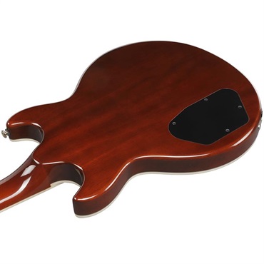 Ibanez 【1月30日入荷予定】 AR520HME-NT (Natural) 画像3