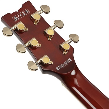 Ibanez 【1月30日入荷予定】 AR520HME-NT (Natural) 画像5