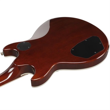 Ibanez 【1月30日入荷予定】 AR320-MBM (Midnight Black Metallic) [SPOT MODEL] 画像3