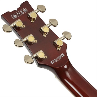 Ibanez 【1月30日入荷予定】 AR320-MBM (Midnight Black Metallic) [SPOT MODEL] 画像5