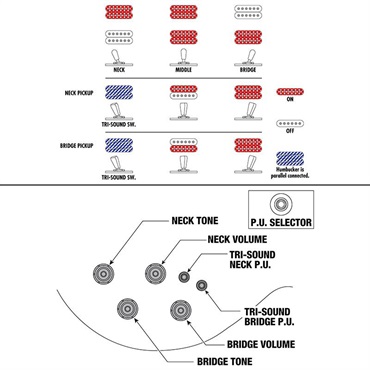 Ibanez 【1月30日入荷予定】 AR320-MBM (Midnight Black Metallic) [SPOT MODEL] 画像6