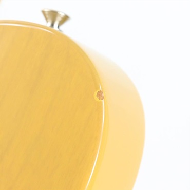 Fender USA American Professional Classic Telecaster (Butterscotch Blonde/Maple) 【キズあり特価】 画像10